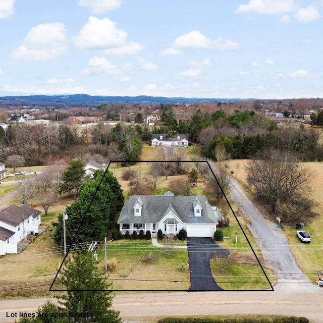 bird's eye view