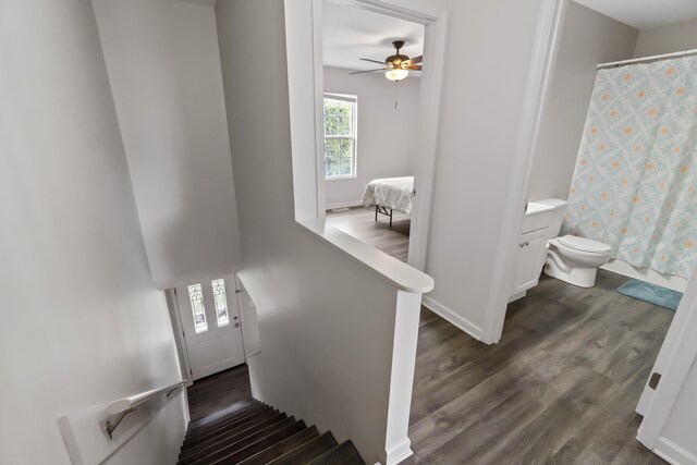 stairs with ceiling fan and hardwood / wood-style floors