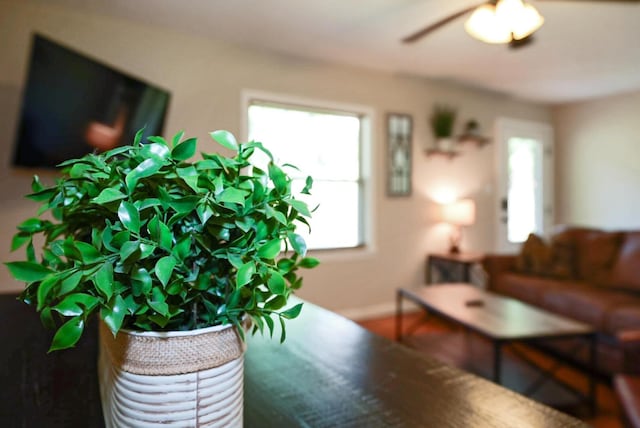 2368 Hall Rd, Dandridge, TN 37725 - living room featuring healthy amount of natural light and a ceiling fan