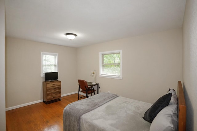 2368 Hall Rd, Dandridge, TN 37725 - bedroom featuring multiple windows and wood finished floors
