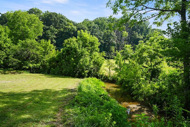2368 Hall Rd, Dandridge, TN 37725 - view of green lawn with a forest view