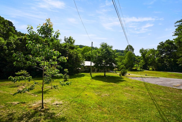 2368 Hall Rd, Dandridge, TN 37725 - view of grassy yard