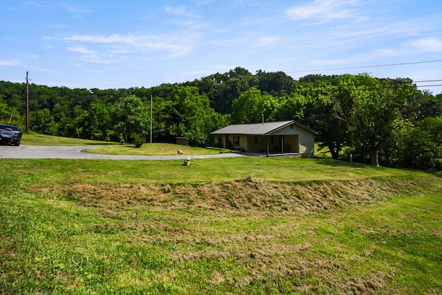 2368 Hall Rd, Dandridge, TN 37725 - view of green lawn featuring a wooded view and driveway