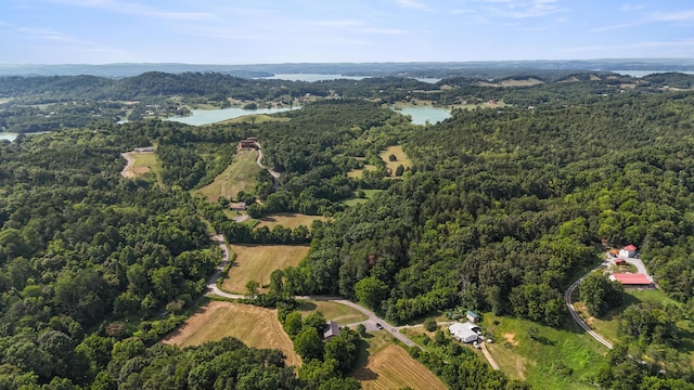 2368 Hall Rd, Dandridge, TN 37725 - aerial view of property and surrounding area featuring a large body of water
