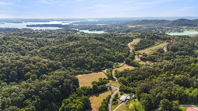 2368 Hall Rd, Dandridge, TN 37725 - bird's eye view of a forest and a nearby body of water
