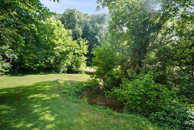 2368 Hall Rd, Dandridge, TN 37725 - view of grassy yard