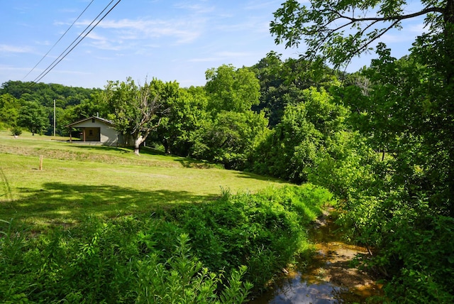 2368 Hall Rd, Dandridge, TN 37725 - view of green lawn featuring a forest view
