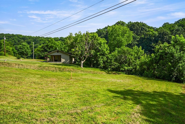 2368 Hall Rd, Dandridge, TN 37725 - view of grassy yard with a view of trees