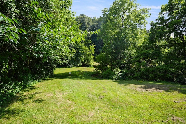 2368 Hall Rd, Dandridge, TN 37725 - view of grassy yard
