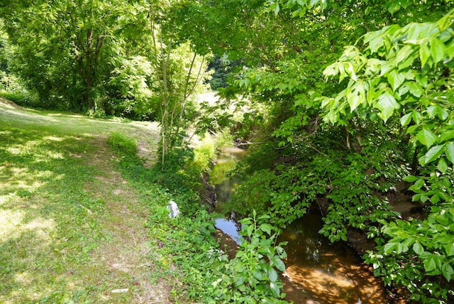 2368 Hall Rd, Dandridge, TN 37725 - view of yard