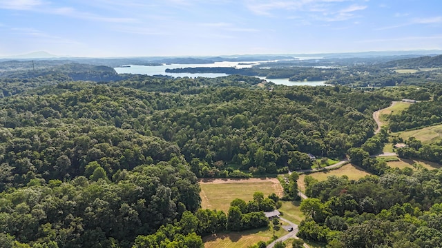 2368 Hall Rd, Dandridge, TN 37725 - drone / aerial view of a heavily wooded area and a large body of water