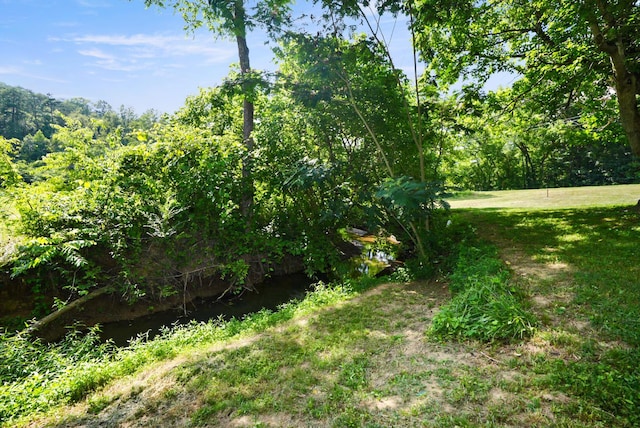 2368 Hall Rd, Dandridge, TN 37725 - view of yard