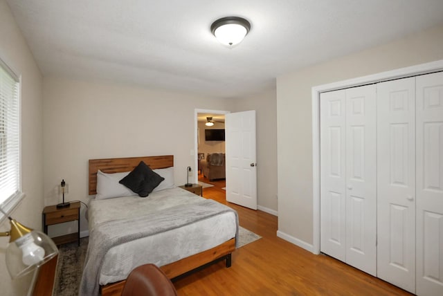 2368 Hall Rd, Dandridge, TN 37725 - bedroom featuring multiple windows, a closet, and wood finished floors