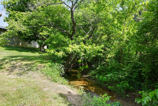 2368 Hall Rd, Dandridge, TN 37725 - view of undeveloped land