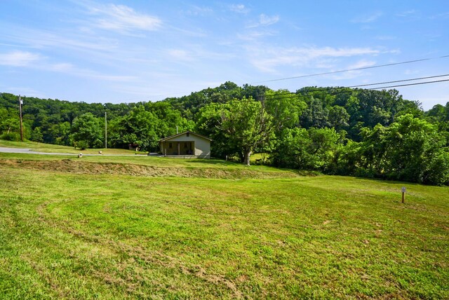 2368 Hall Rd, Dandridge, TN 37725 - view of green lawn featuring a wooded view