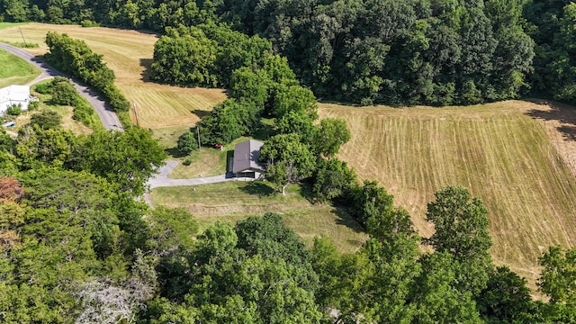 2368 Hall Rd, Dandridge, TN 37725 - overview of rural landscape featuring a forest
