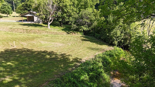 2368 Hall Rd, Dandridge, TN 37725 - view of grassy yard