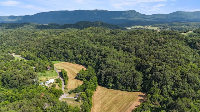 2368 Hall Rd, Dandridge, TN 37725 - drone / aerial view of a heavily wooded area and a mountain backdrop