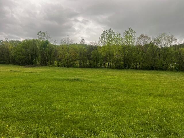 00 Fowlers Grove Rd, Newport, TN 37821 - photo 1