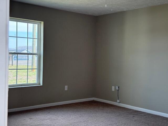 carpeted empty room featuring a textured ceiling and baseboards