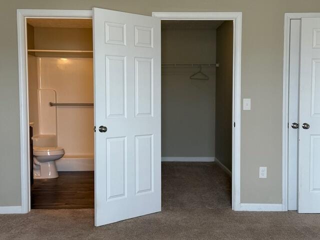 view of closet