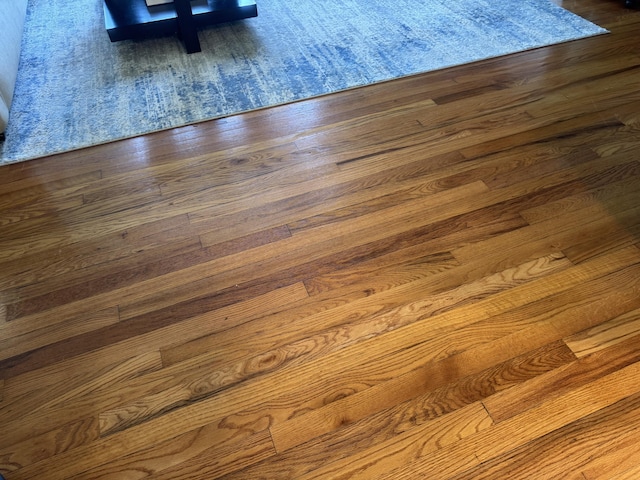 3207 Dove Ln, White Pine, TN 37890 - detailed view of wood finished floors