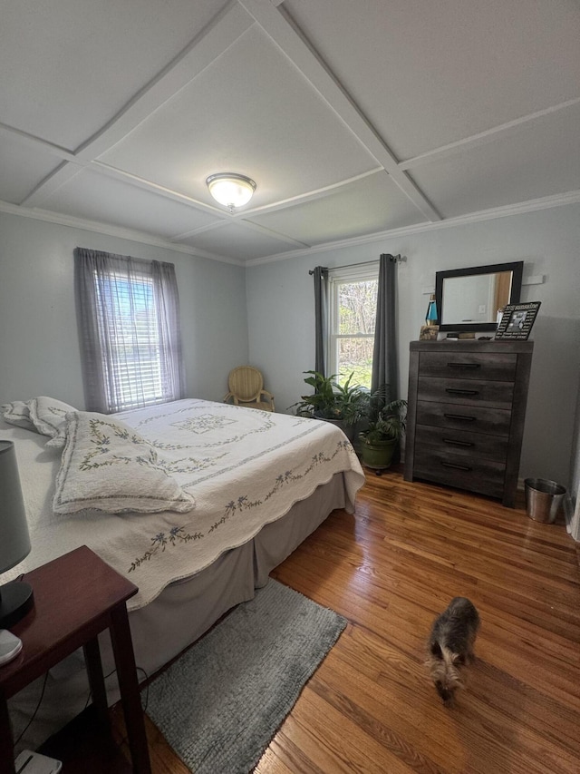 3207 Dove Ln, White Pine, TN 37890 - bedroom with coffered ceiling and wood finished floors