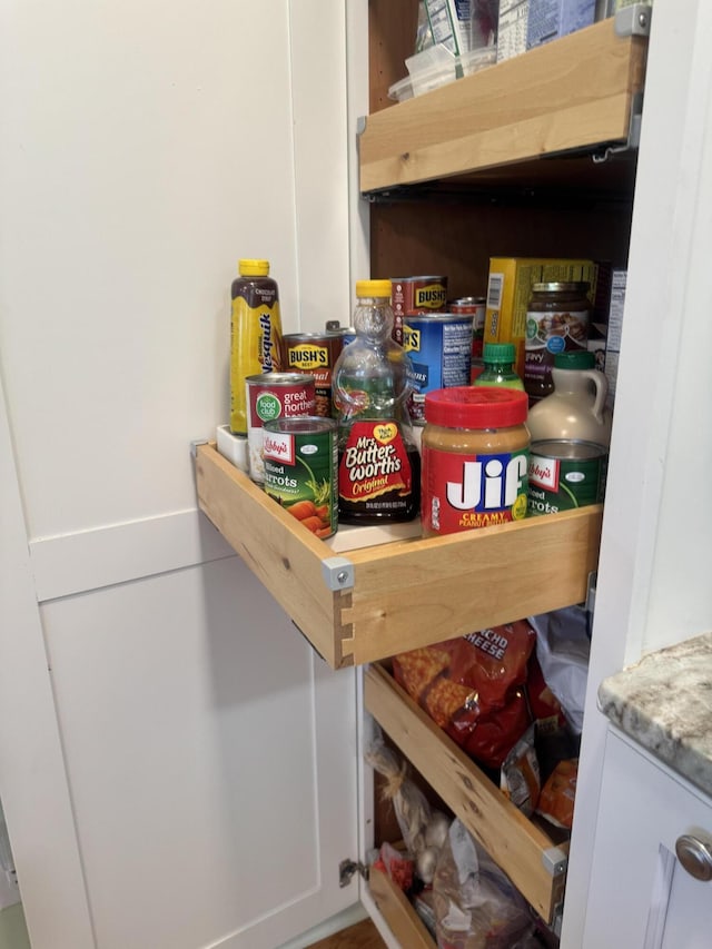 3207 Dove Ln, White Pine, TN 37890 - view of pantry