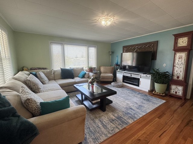 3207 Dove Ln, White Pine, TN 37890 - living area with ornamental molding and wood finished floors