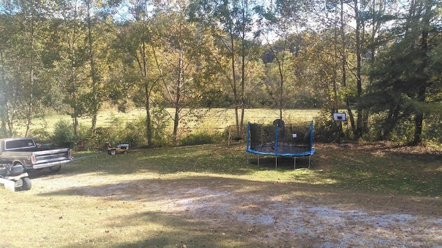 view of yard featuring a trampoline