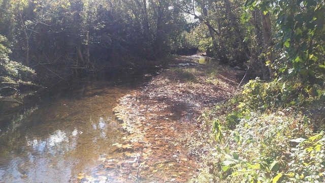 view of landscape featuring a water view