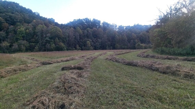 view of yard with a rural view