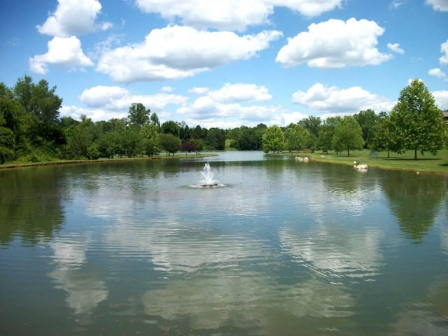 381 Lochmere Dr, Morristown, TN 37814 - photo 45