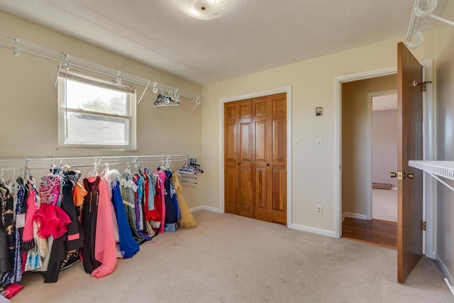 walk in closet featuring carpet