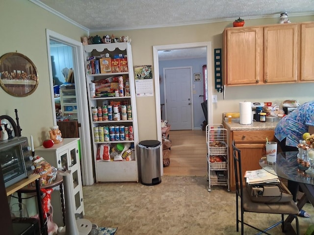 450 Old Sevierville Hwy, Newport, TN 37821 - kitchen with light countertops, light brown cabinetry, ornamental molding, a textured ceiling, and light floors