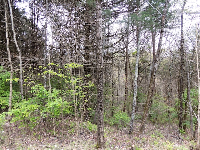 PAR067.14 Alpha Rd, Newport, TN 37821 - photo 7