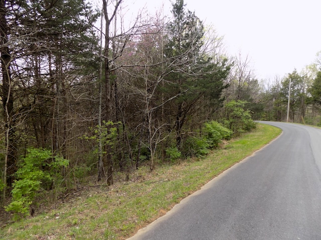 PAR067.14 Alpha Rd, Newport, TN 37821 - photo 4