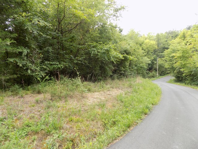 PAR067.14 Alpha Rd, Newport, TN 37821 - photo 15