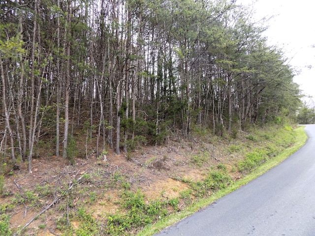 PAR067.14 Alpha Rd, Newport, TN 37821 - photo 8
