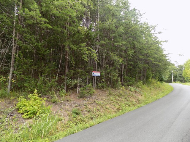 PAR067.14 Alpha Rd, Newport, TN 37821 - photo 11