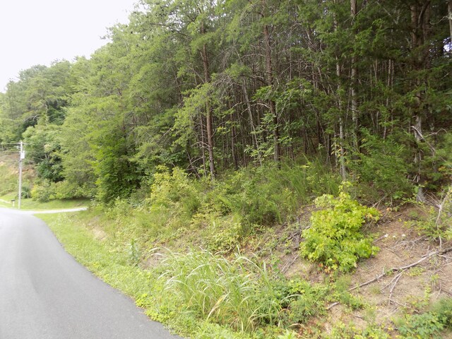 PAR067.14 Alpha Rd, Newport, TN 37821 - photo 12