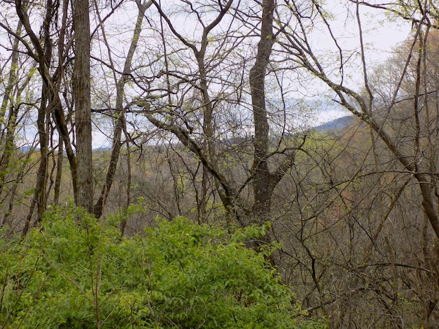 PAR067.14 Alpha Rd, Newport, TN 37821 - photo 2