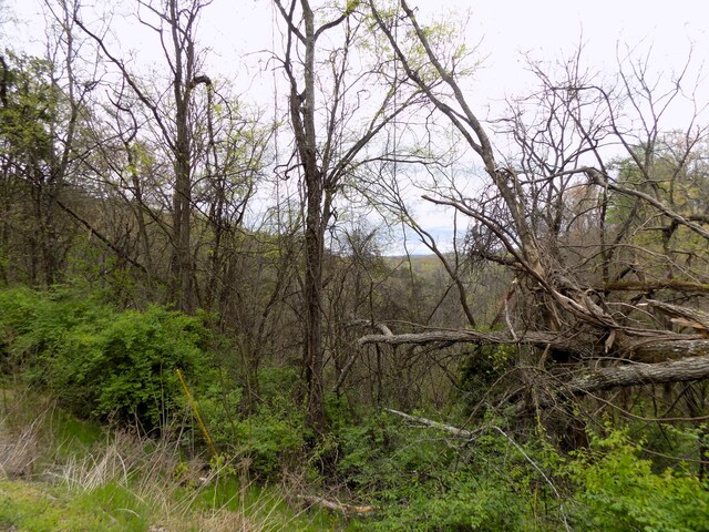 PAR067.14 Alpha Rd, Newport, TN 37821 - photo 5