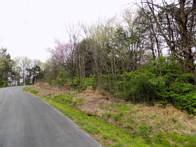 PAR067.14 Alpha Rd, Newport, TN 37821 - photo 3