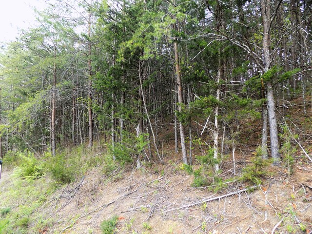 PAR067.14 Alpha Rd, Newport, TN 37821 - photo 9
