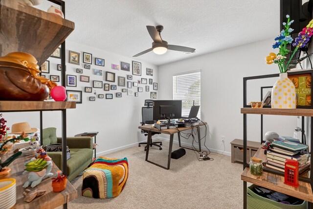 3059 Berna Way, Morristown, TN 37814 - office space with a ceiling fan and carpet floors