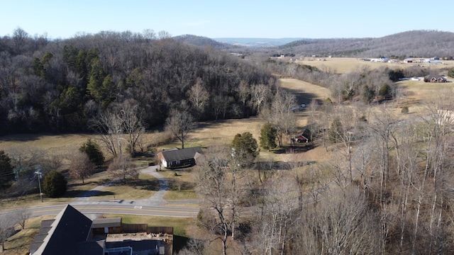 aerial view with a rural view and a mountain view