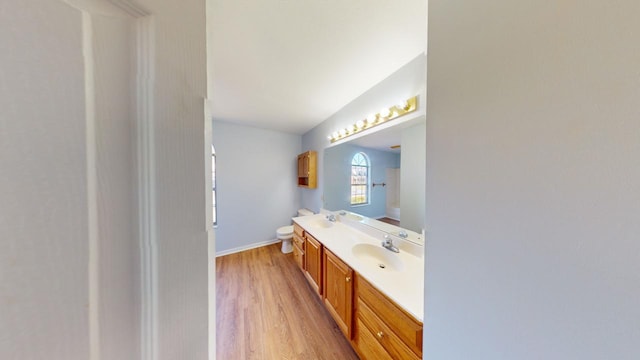 bathroom featuring wood-type flooring, toilet, and vanity