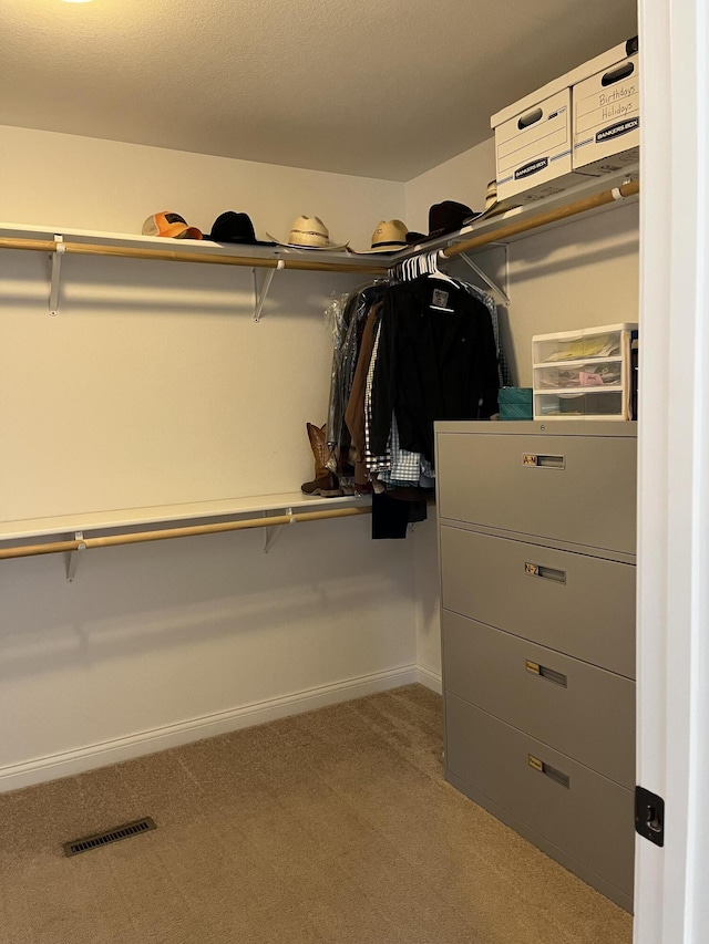 122 Florence Cir, Dandridge, TN 37725 - walk in closet with carpet flooring