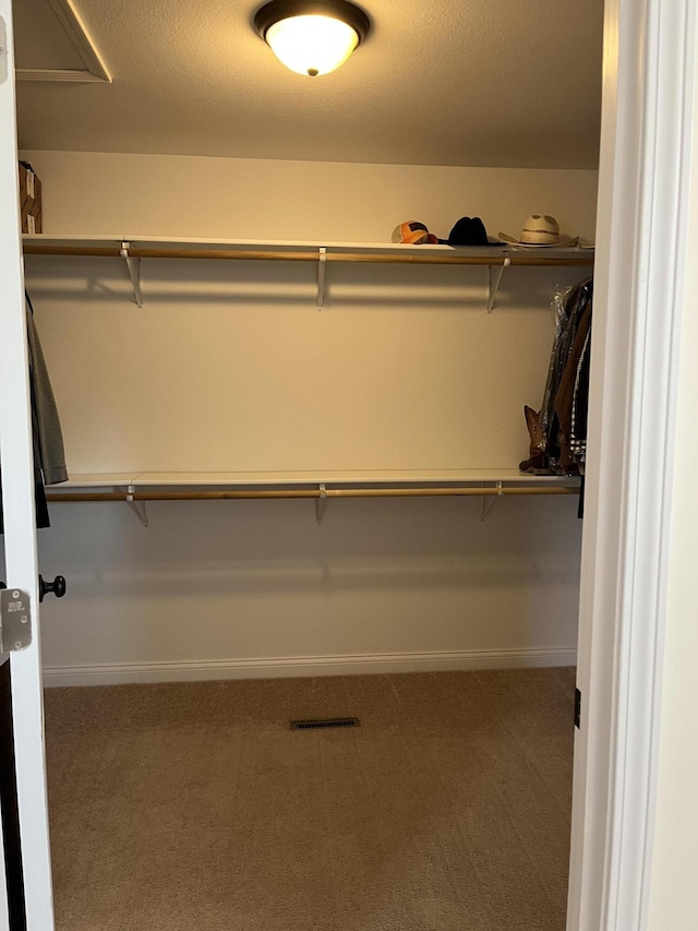 122 Florence Cir, Dandridge, TN 37725 - spacious closet with carpet floors